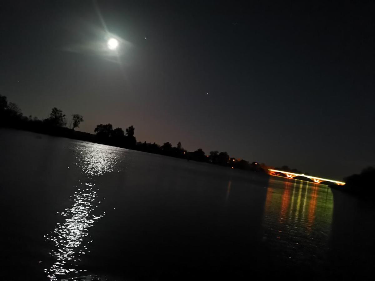 Hausboote Unteres Odertal Hausboot Kranich Hotel Schwedt Luaran gambar